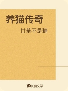 养猫传奇