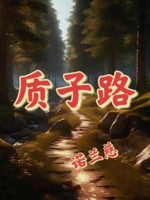 质子路