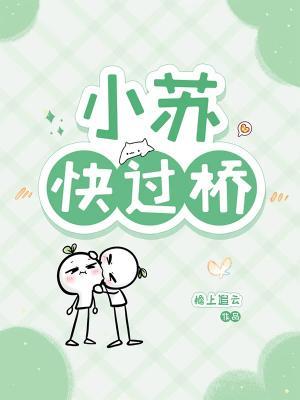 小苏快过桥