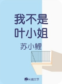 我不是叶小姐_苏小鲤著_长佩文学网