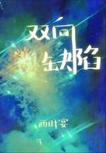 双向缺陷