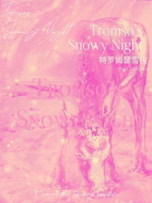 特罗姆瑟雪夜