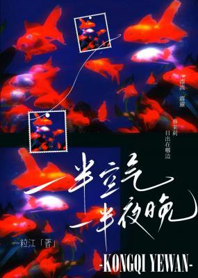一半空气一半夜晚