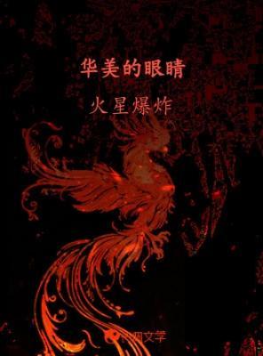 华美的眼睛