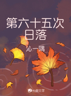 第六十五次日落