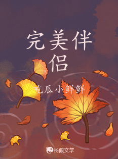 完美伴侣
