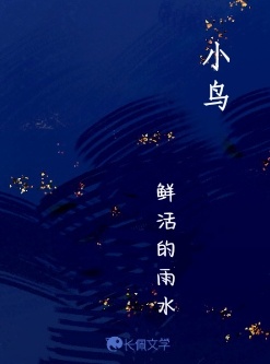小鸟