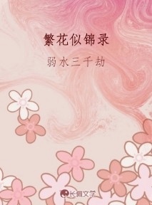 繁华似锦录