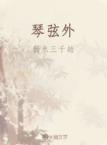 琴弦外