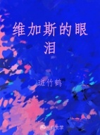 维加斯的眼泪