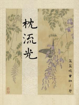 枕流光