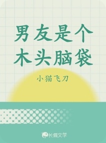 男友是个木头脑袋