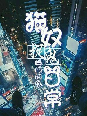 三更夜话：猫奴捉鬼日常