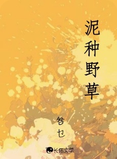 泥种野草
