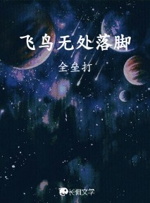 飞鸟无处落脚