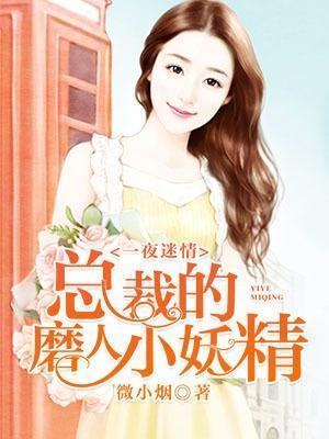 一夜迷情：总裁的磨人小妖精