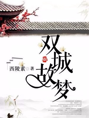 双城故梦