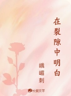 在裂隙中明白