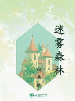 迷雾森林
