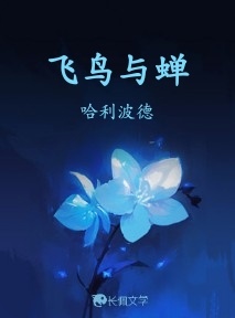 飞鸟与蝉