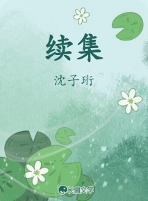续集