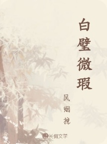 白璧微瑕