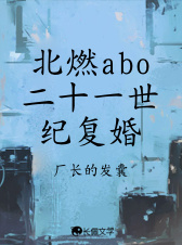 北燃】二十一世纪复婚abo_厂长的发囊著_长佩文学网
