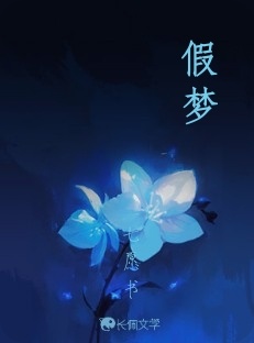 假梦