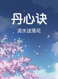 丹心诀