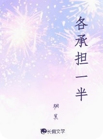 各承担一半