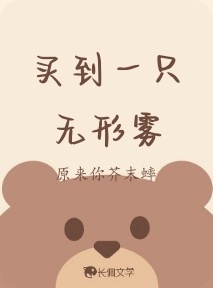 买到一只无形雾