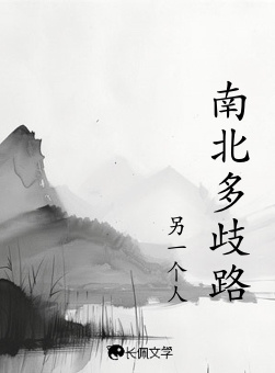 南北多歧路