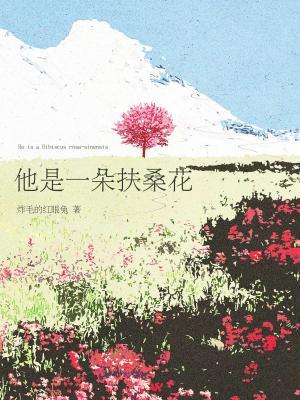 他是一朵扶桑花