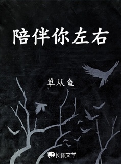 陪伴你左右
