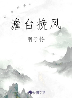 澹台挽风