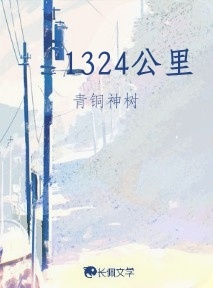 1324公里