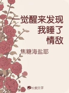 一觉醒来发现我睡了情敌_焦糖海盐耶著_长佩文学网
