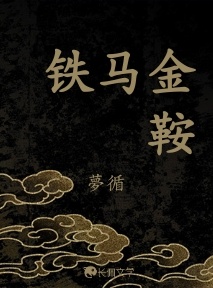 铁马金鞍