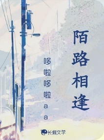 陌路相逢_哆啦哆啦aa著_长佩文学网