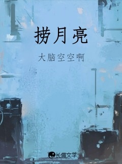 捞月亮