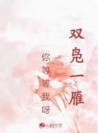 双凫一雁