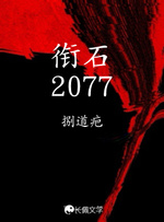衔石2077