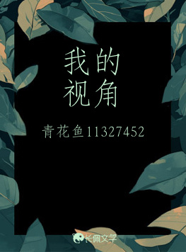 我的视角