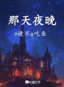 那天夜晚