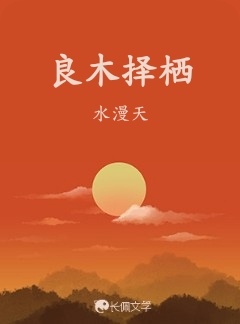 良木择栖