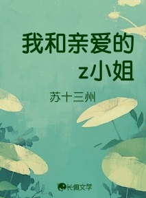 我和亲爱的z小姐_苏十三州著_长佩文学网