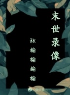 末世录像