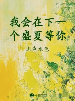 我会在下一个盛夏等你