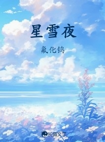 星雪夜