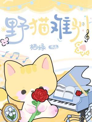 野猫难驯